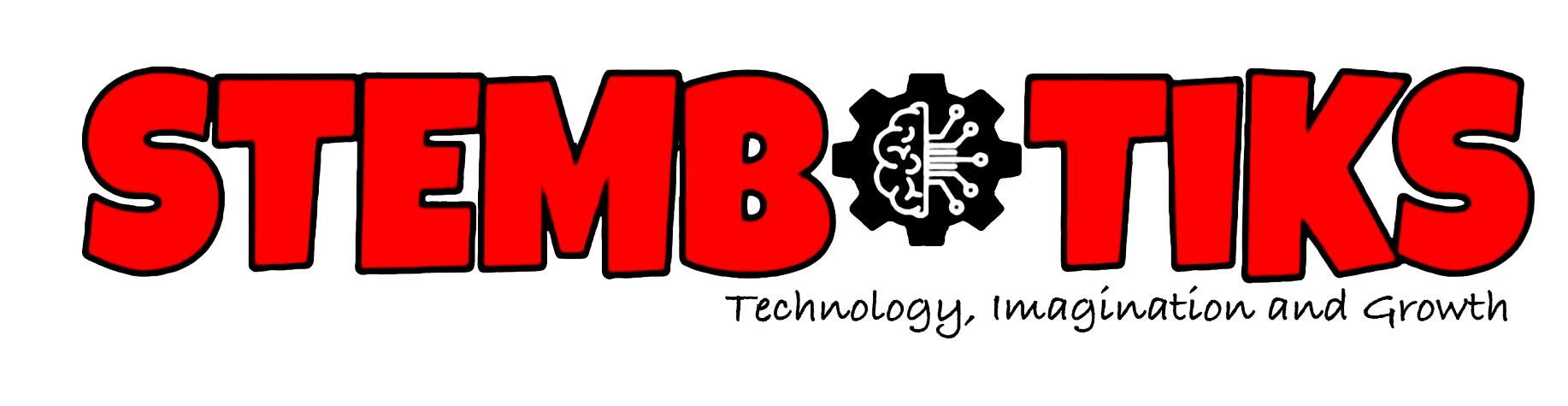 STEMBOTIKS